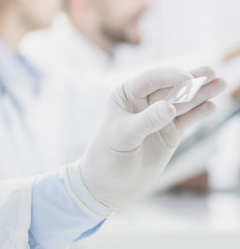 Science for Regeneration Science for Regeneration